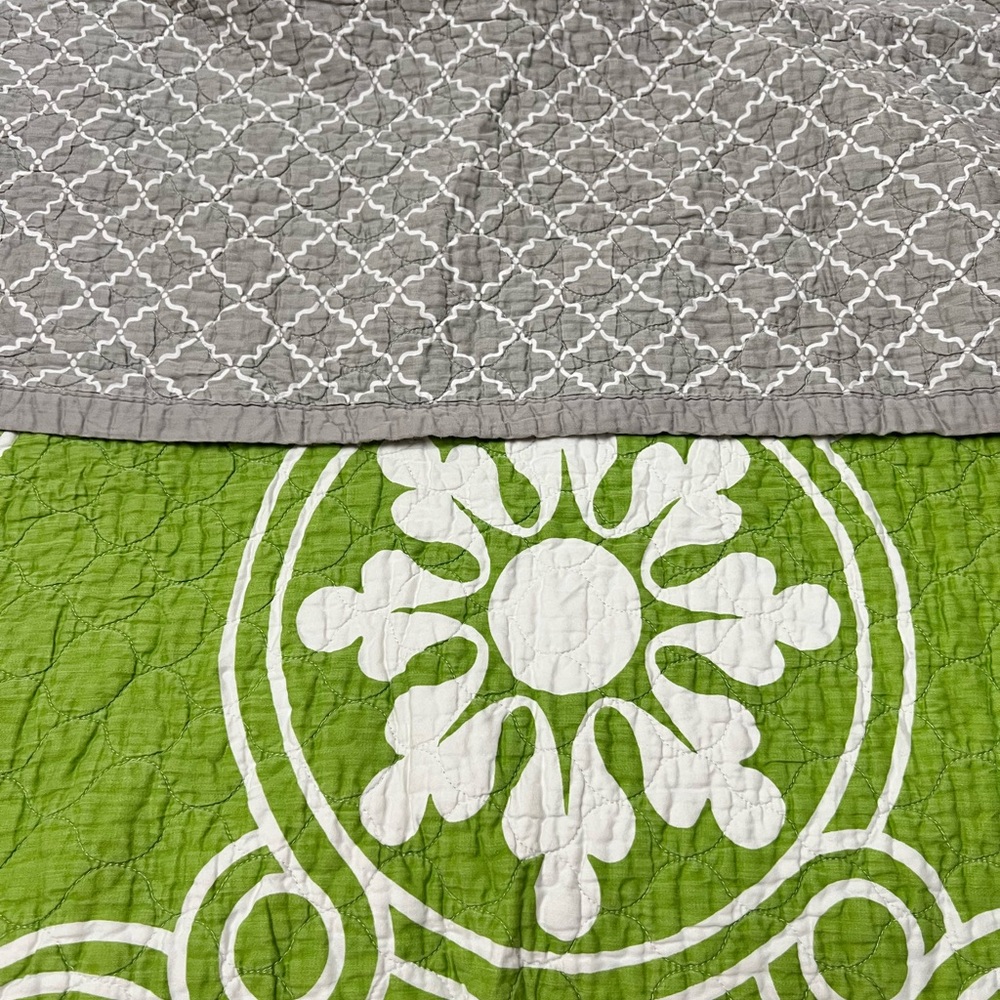 Dwell Studio Full size Stylish Gray and Green Quilt
